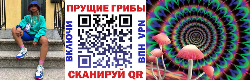 Псилоцибиновые грибы Psilocybine cubensis Купить Лесозаводск